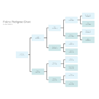 Feline Pedigree Chart